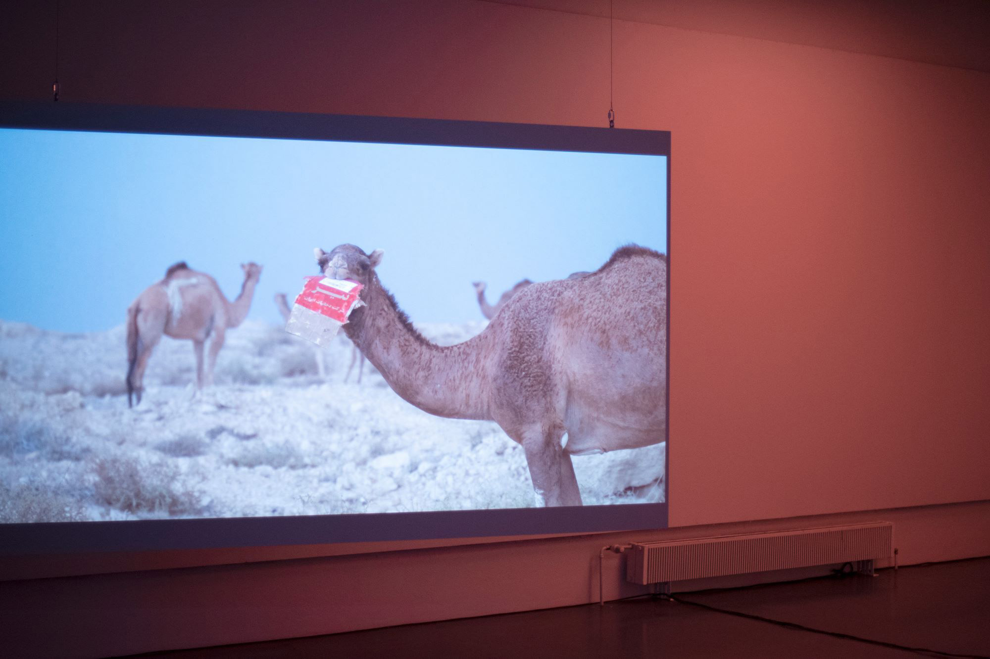 Cosmic Archaeology – Alia Farid