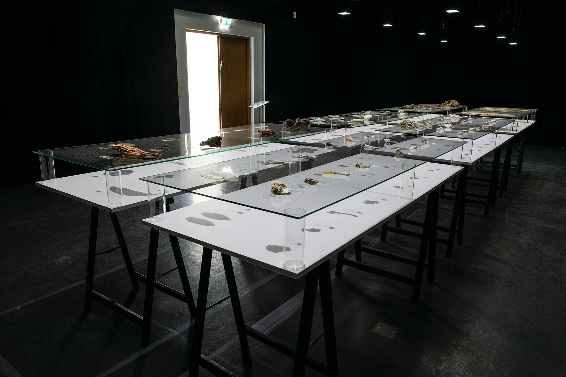 The Things We Are Made Of: Elsa Salonen
