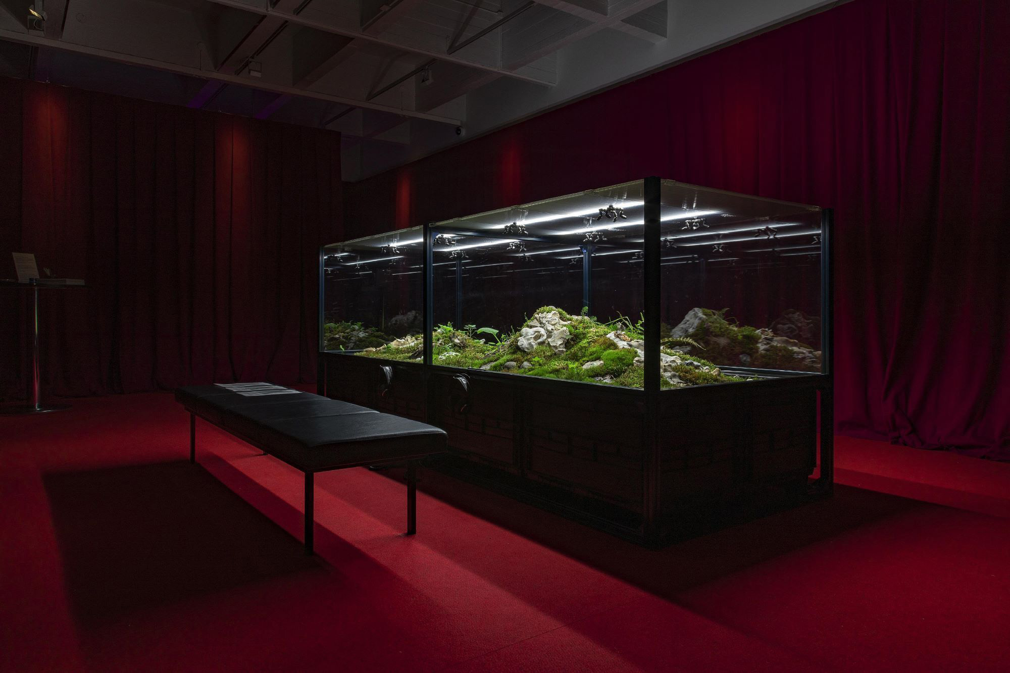 Institute of Coexistence – Georg Jagunov