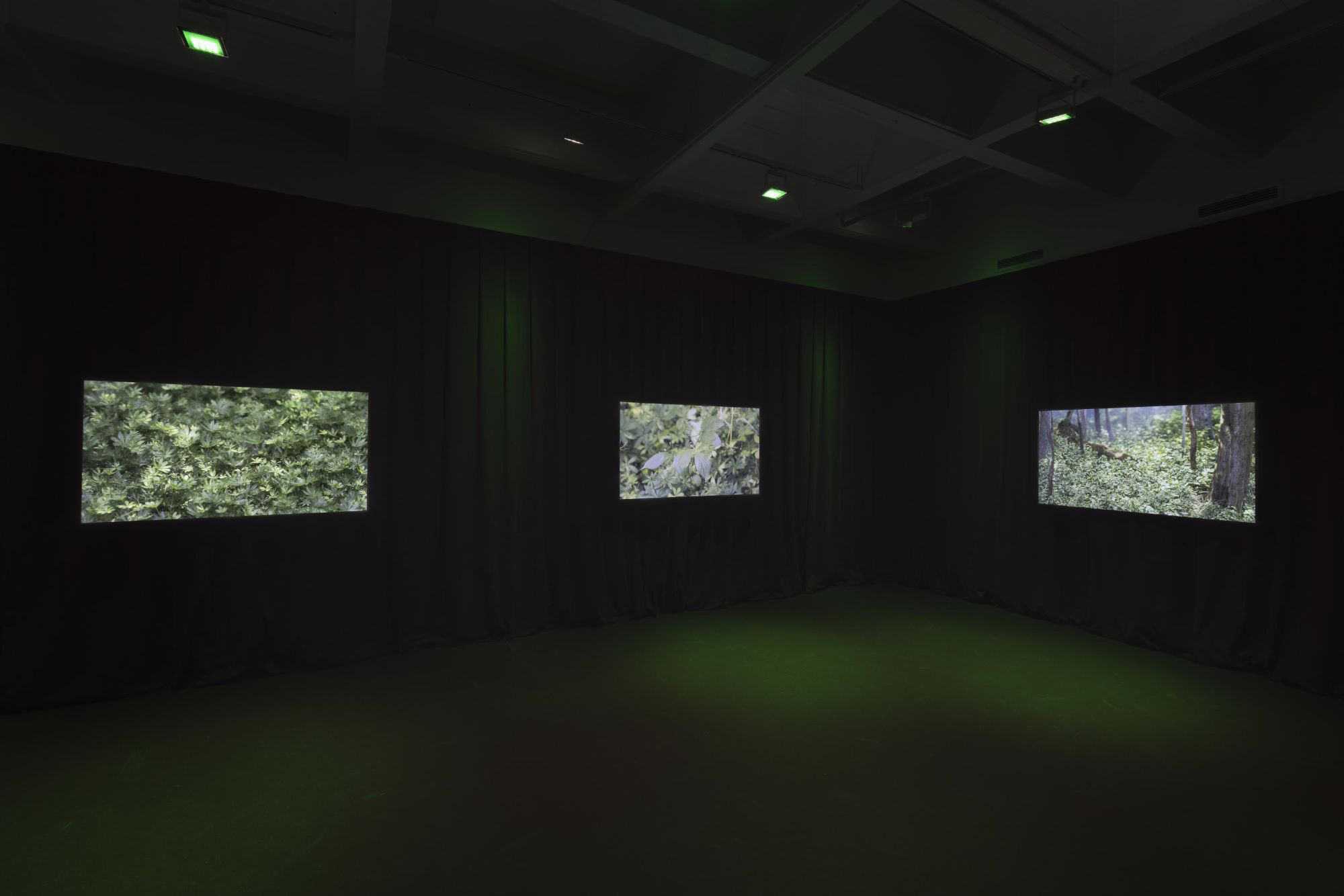Institute of Coexistence – Kim Laybourn